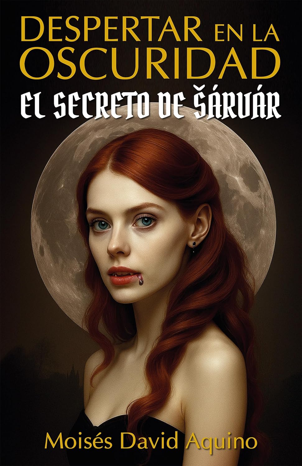 Despertar en la oscuridad, de Moisés David Aquino