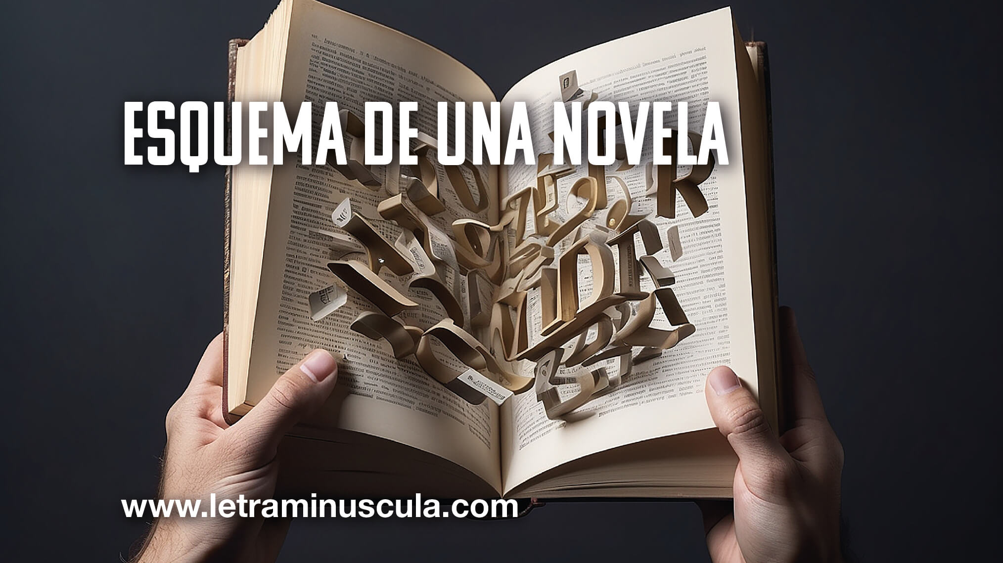 Esquema de una novela