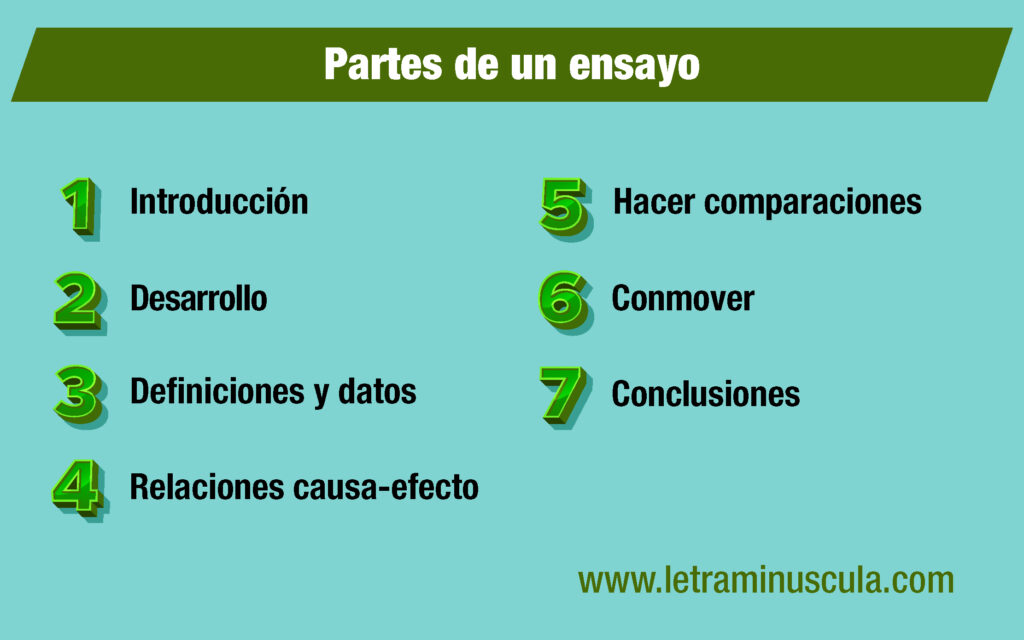 Infografía partes de un ensayo