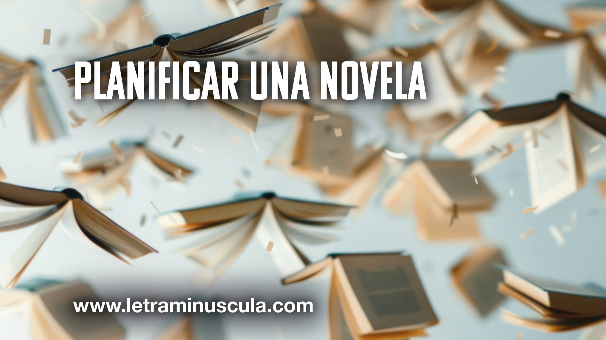 Planificar una novela_MINIATURA