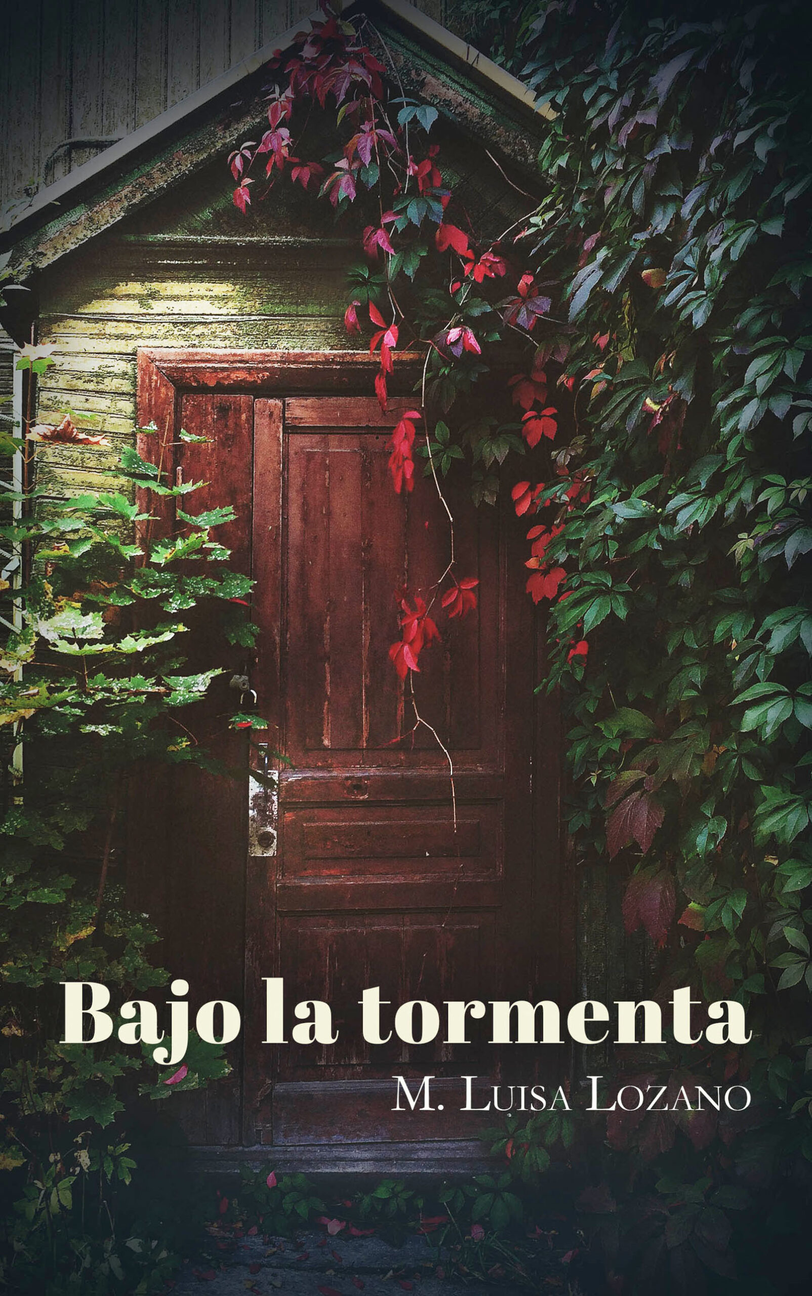 Bajo la tormenta, de M. Luisa Lozano Huerta