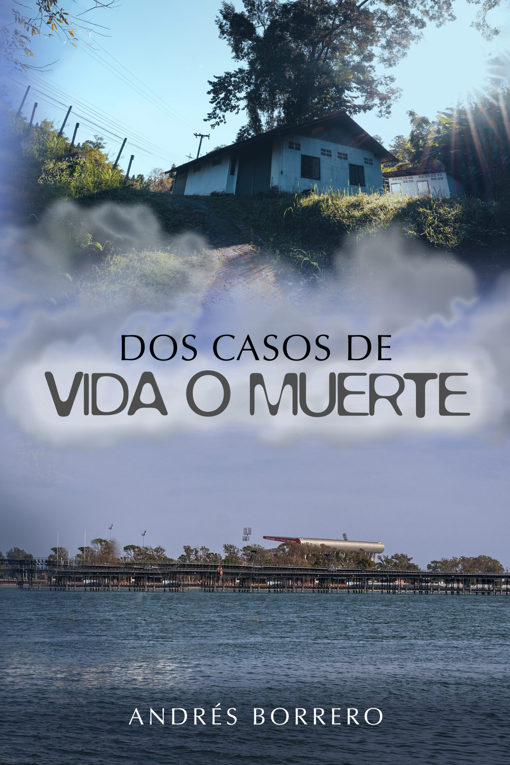 Dos casos de vida o muerte, de Andrés Borrero