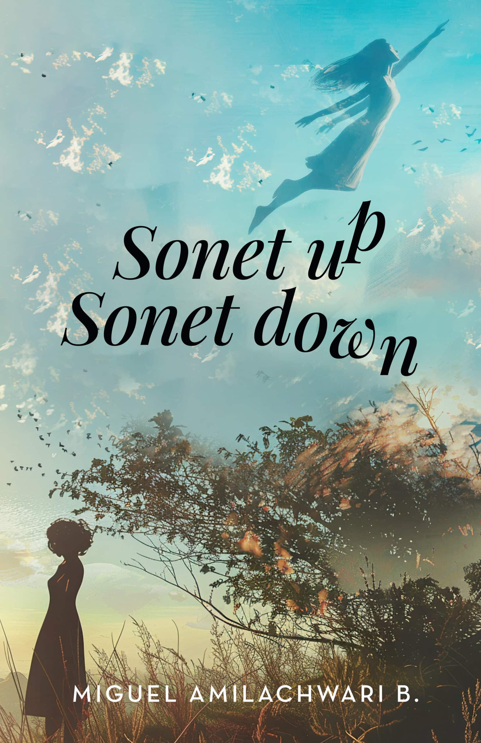 Portada ebook Sonet Up Sonet Down