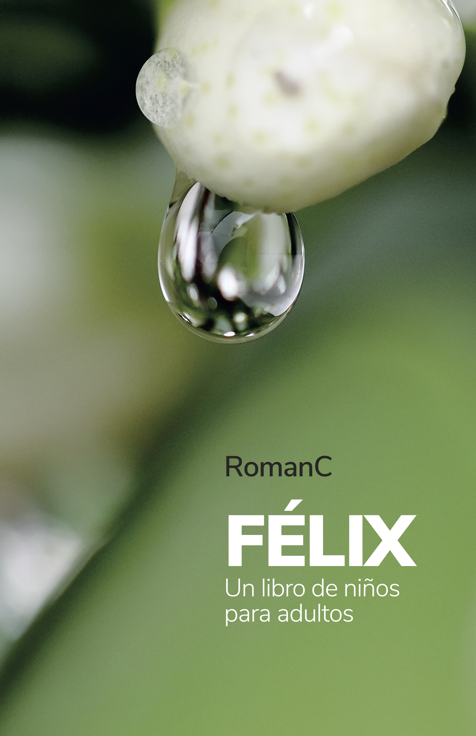 Félix, de Román C.