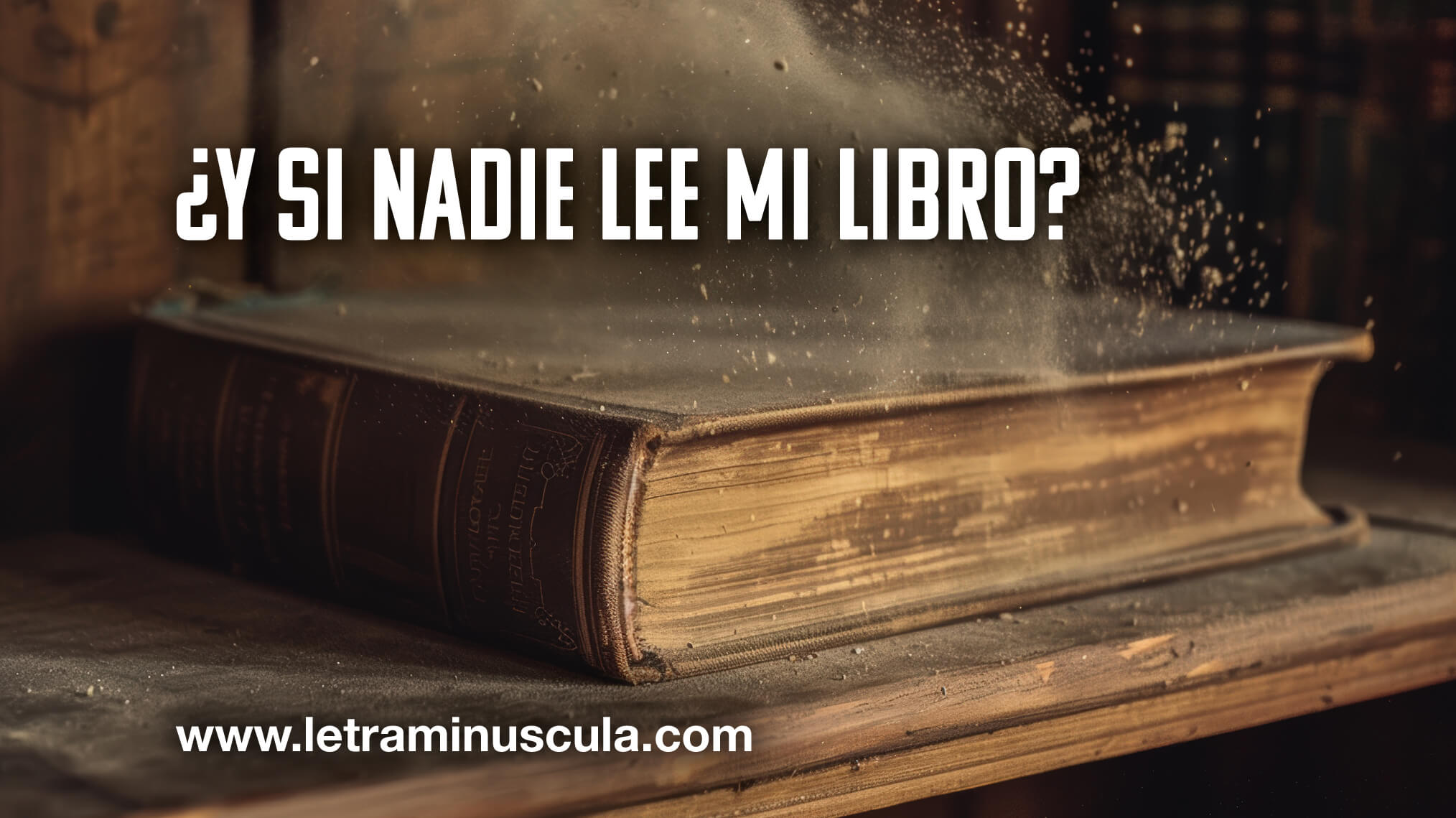 ¿Y si nadie lee mi libro? MINIATURA